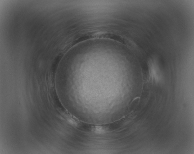 X0000053060565200507111155