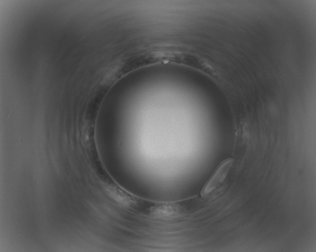 X0000053060567200507111155