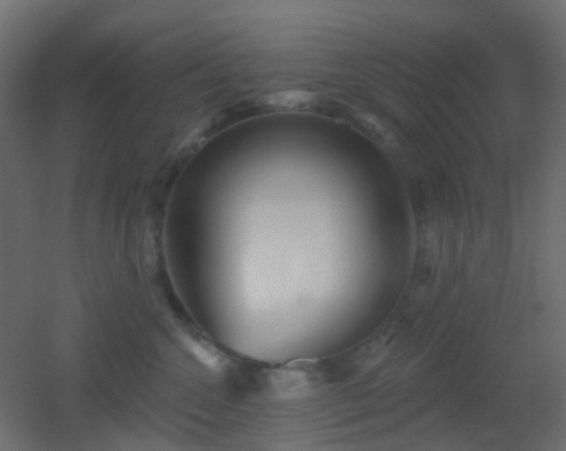 X0000053060572200507111155