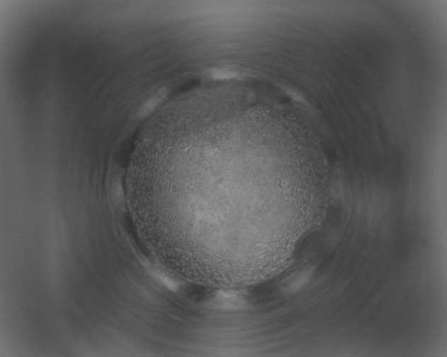 X0000053060573200507111155