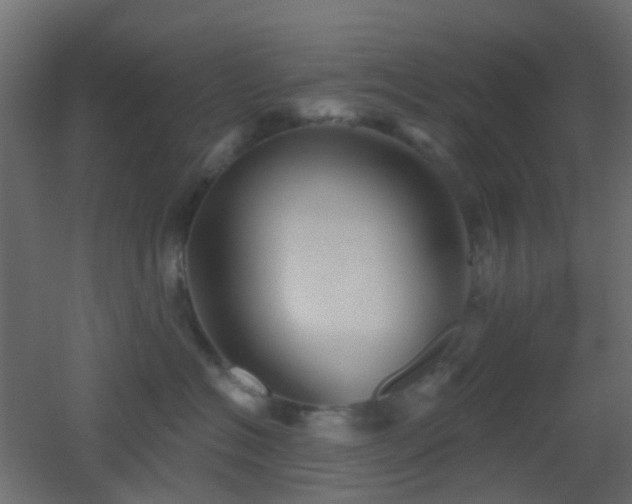 X0000053060574200507111155