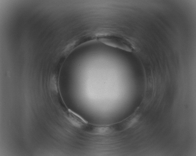 X0000053060575200507111155