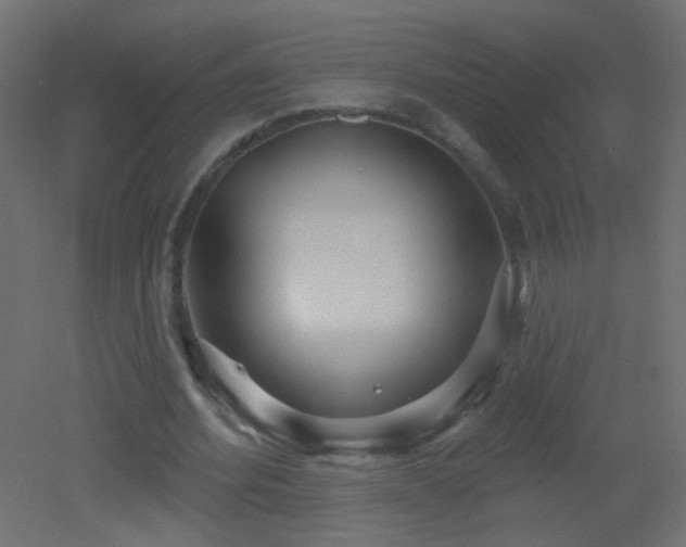 X0000053060580200507111154