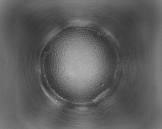 X0000053060582200507111154