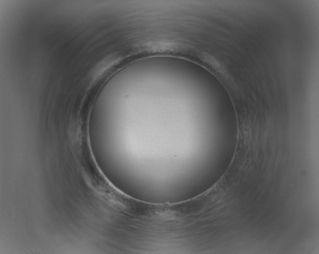 X0000053060583200507111154