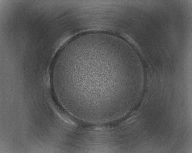 X0000053060584200507111154