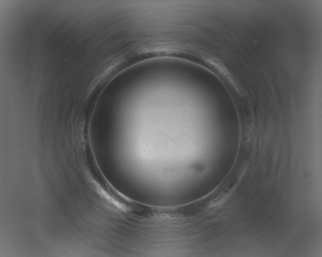 X0000053060585200507111154