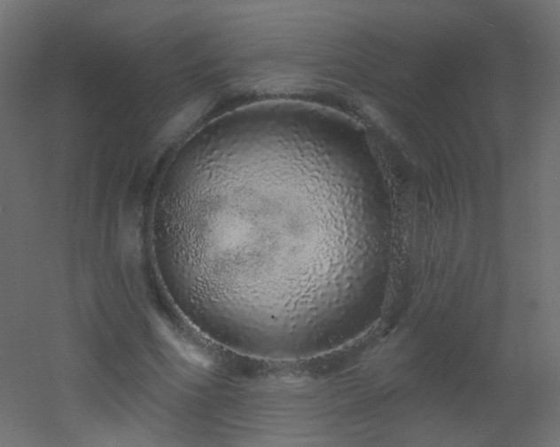 X0000053060586200507111154