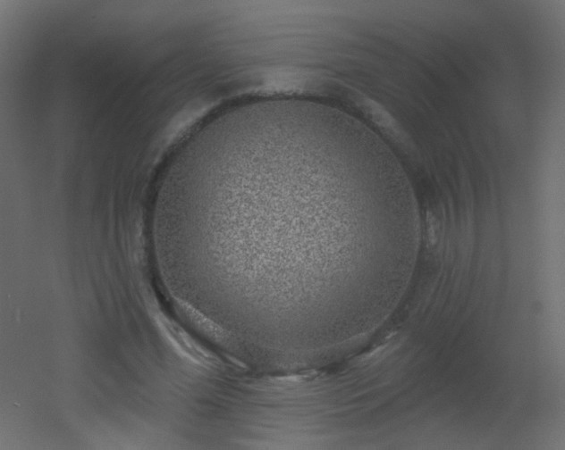 X0000053060588200507111154