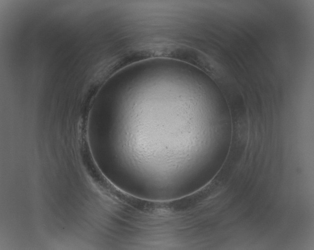 X0000053060594200507111154