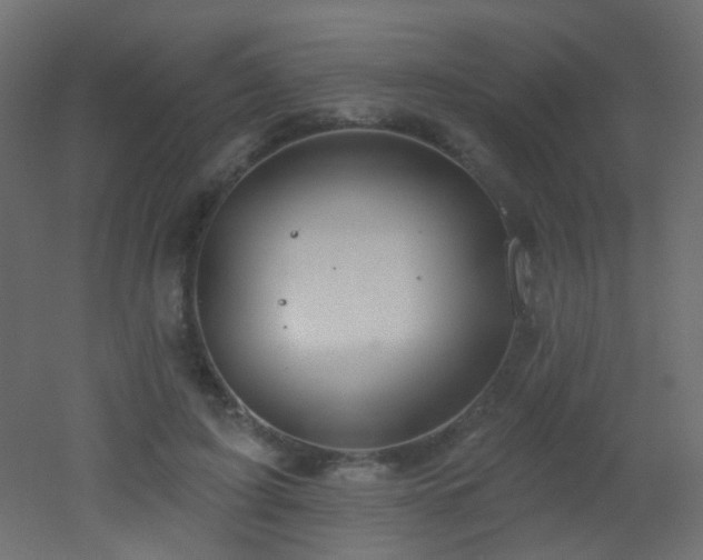 X0000053060595200507111154