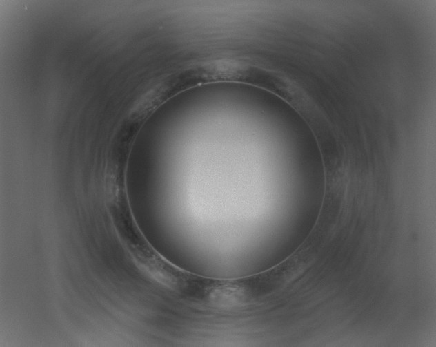 X0000053060599200507111154