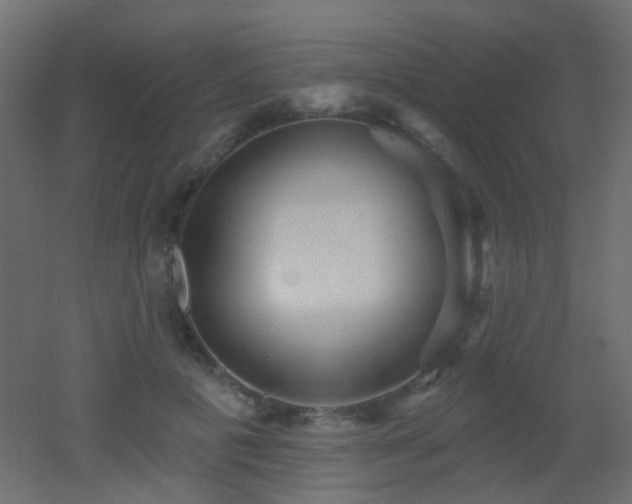 X0000053060601200507111154