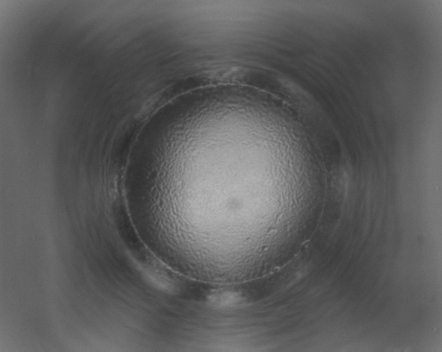 X0000053060602200507111154