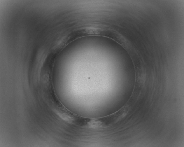 X0000053060603200507111154