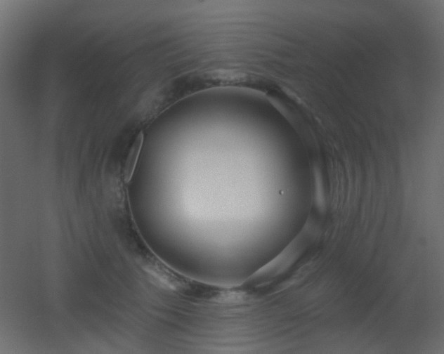 X0000053060609200507111154