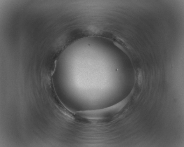 X0000053060613200507111154
