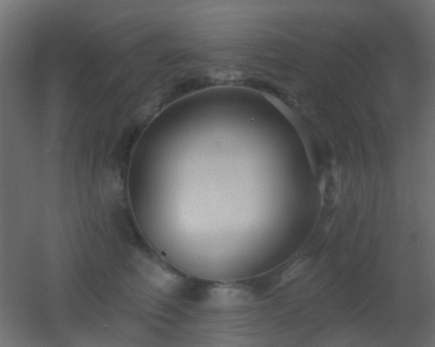 X0000053060614200507111154