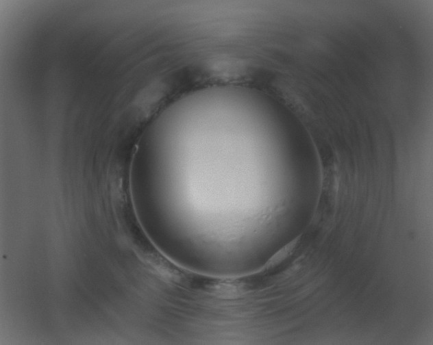 X0000053060615200507111154