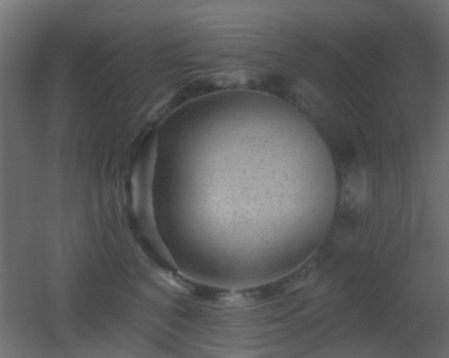 X0000053060616200507111154