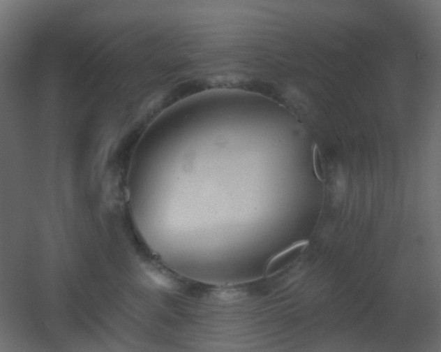 X0000053060619200507111154