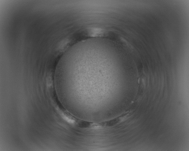 X0000053060620200507111154