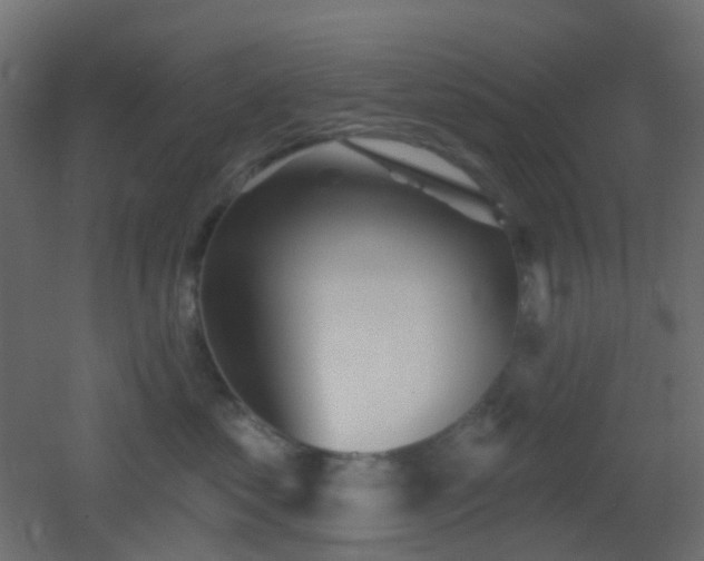 X0000053060621200507111154
