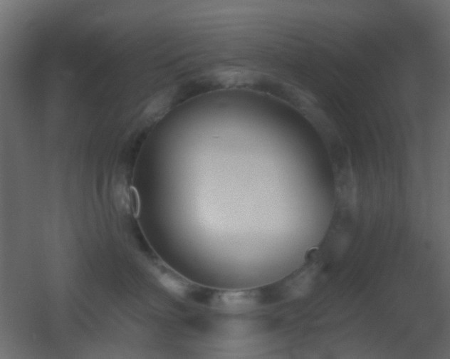 X0000053060622200507111154