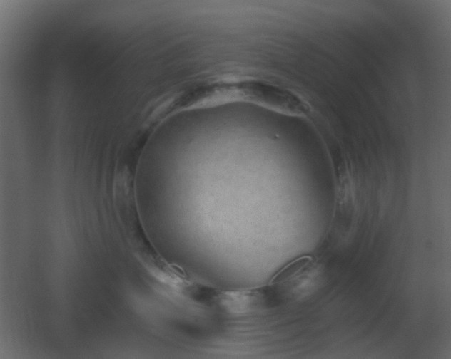 X0000053060623200507111154