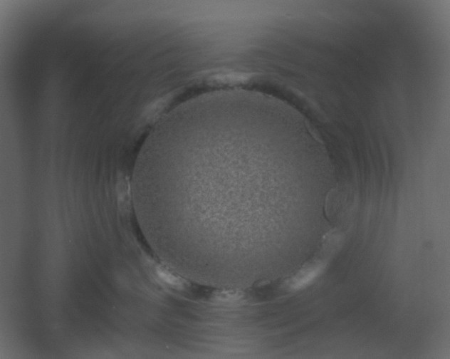 X0000053060624200507111154