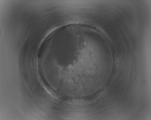 X0000053060626200507111153
