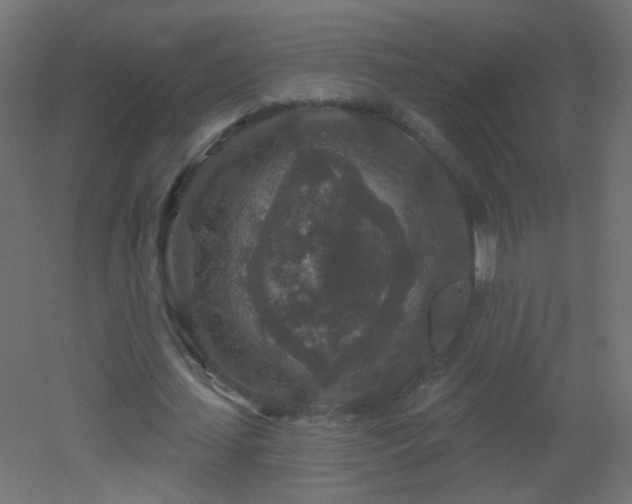 X0000053060627200507111153
