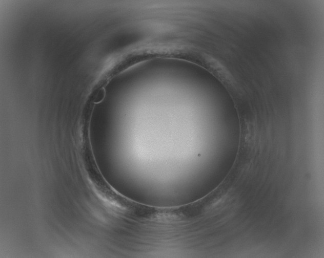 X0000053060636200507111153