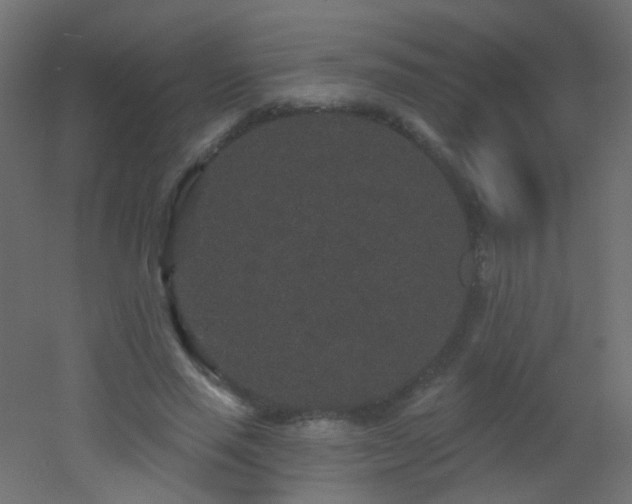 X0000053060637200507111153