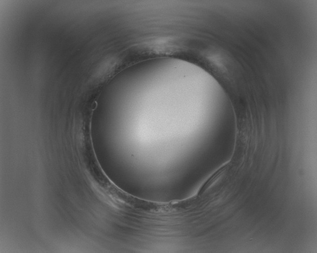 X0000053060639200507111153