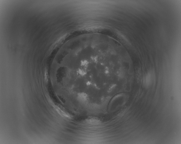X0000053060644200507111153