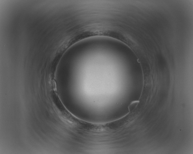 X0000053060646200507111153