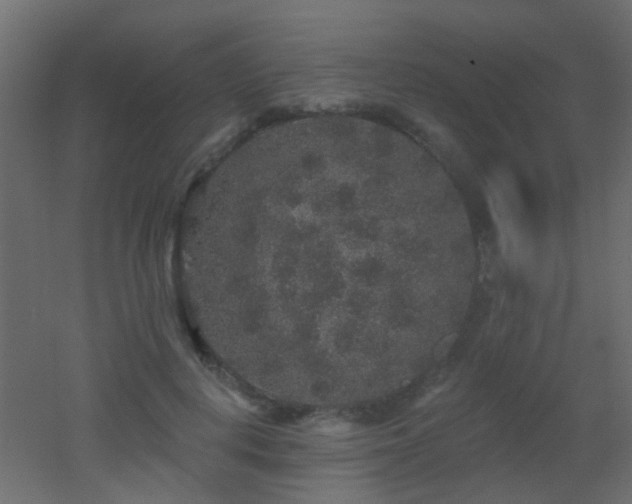 X0000053060648200507111153