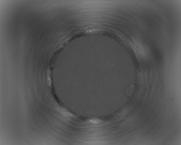 X0000053060654200507111153