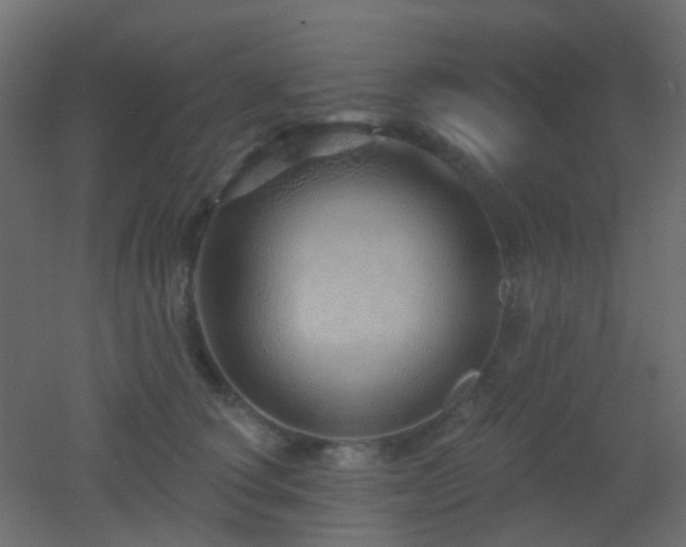 X0000053060660200507111153