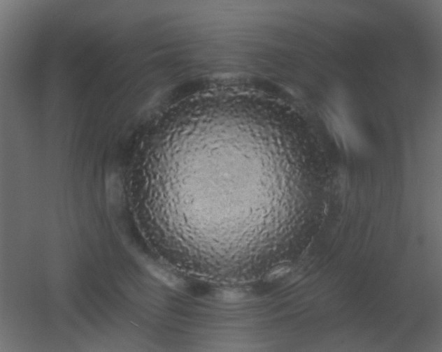 X0000053060662200507111153