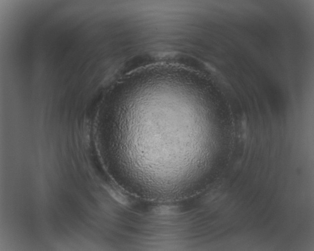 X0000053060664200507111153