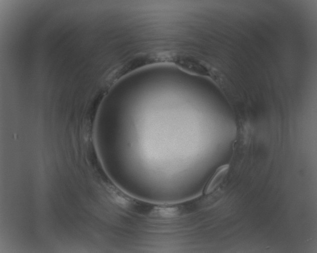 X0000053060665200507111153