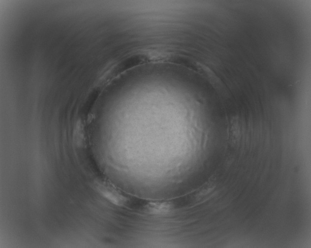 X0000053060667200507111153