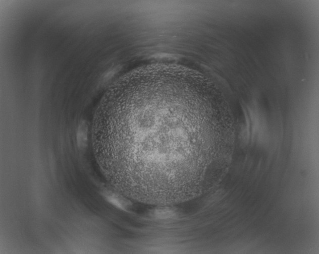 X0000053060668200507111153
