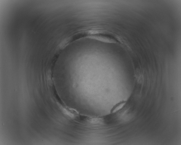 X0000053060670200507111153