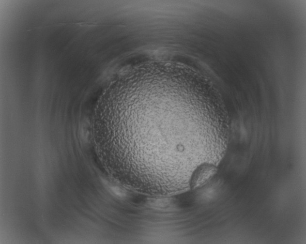 X0000053060671200507111153