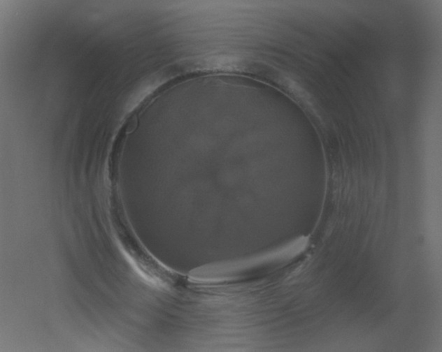 X0000053060674200507111153