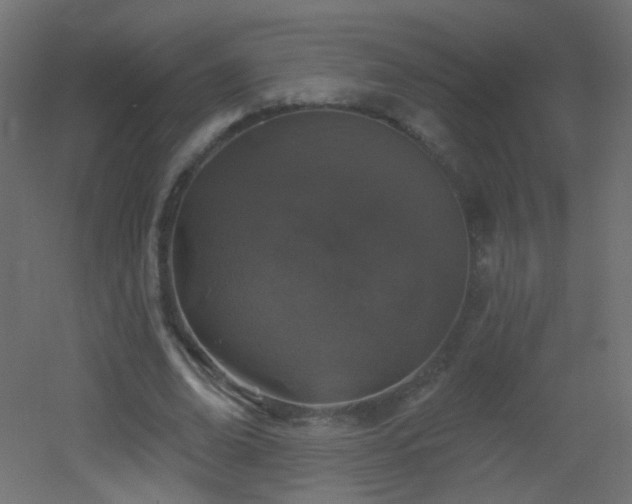 X0000053060678200507111153