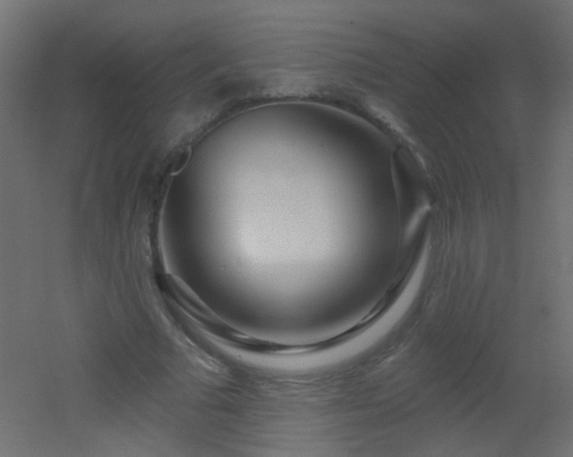 X0000053060681200507111153
